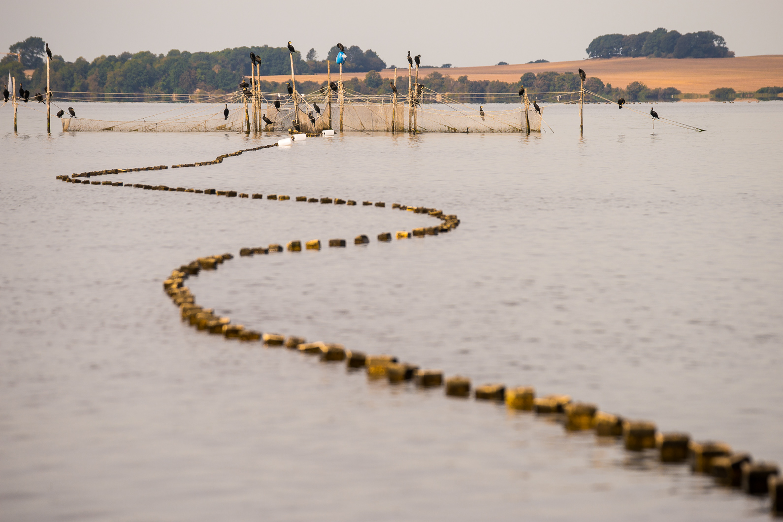 20160922 120611 Alt Reddevitz